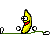 cargots de bananes Banane21